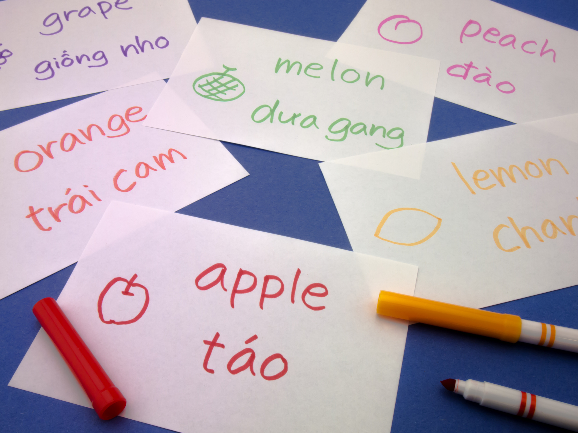 Learn Vietnamese